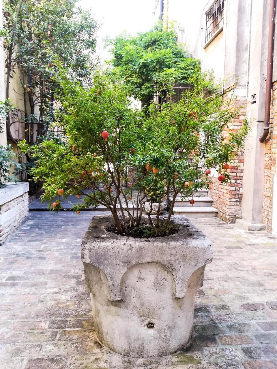 Corte Bragadin Apartment